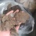 养殖猪牛羊专用菜籽饼蛋白高适口性好