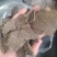 养殖猪牛羊专用菜籽饼蛋白高适口性好