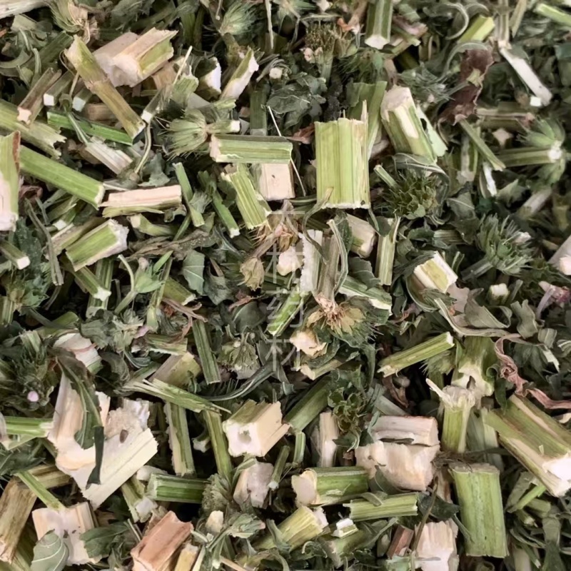 益母草【包邮】三斤起发货可批量可零售量大从优