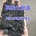 有机草炭土营养土厂家大量批发工程绿化花卉种植农业种植