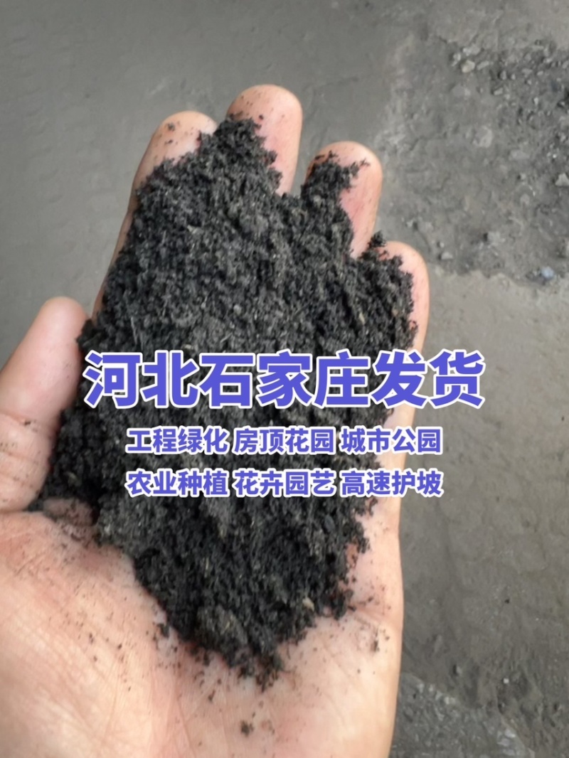 有机草炭土营养土厂家大量批发工程绿化花卉种植农业种植