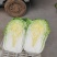 白菜