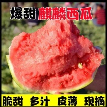 可以电商代发《安徽麒麟美都西瓜》头茬现摘现发