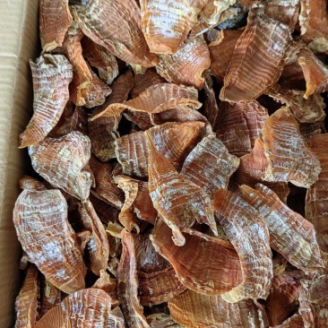笋干江西笋干大量供应品质保证全国发货