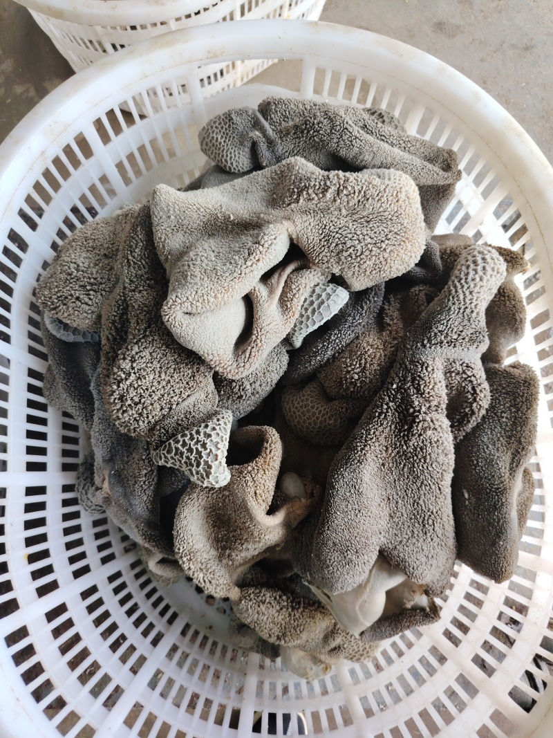 全熟羊肚，纯干，黑毛肚，黄毛肚，一手货源，自己加工