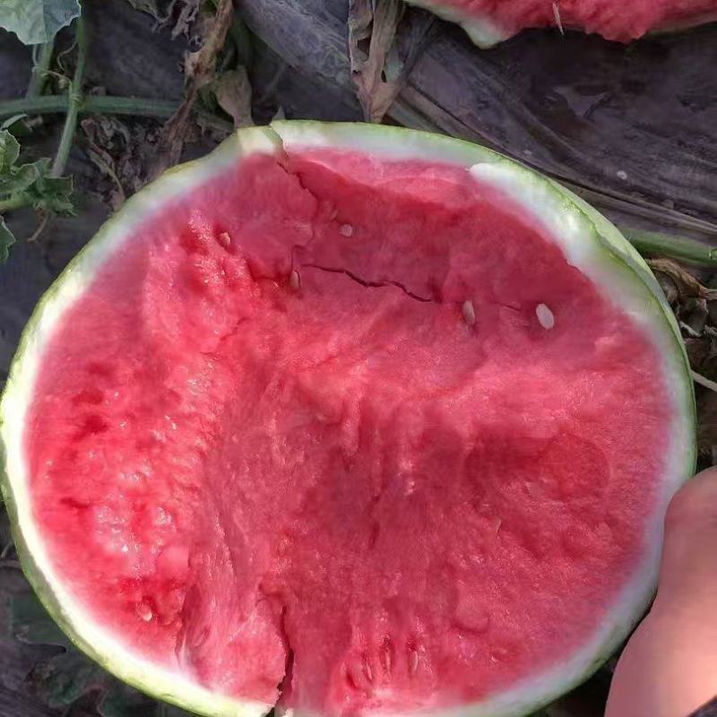 诚信经营，产地直发，一手货源，品质保证