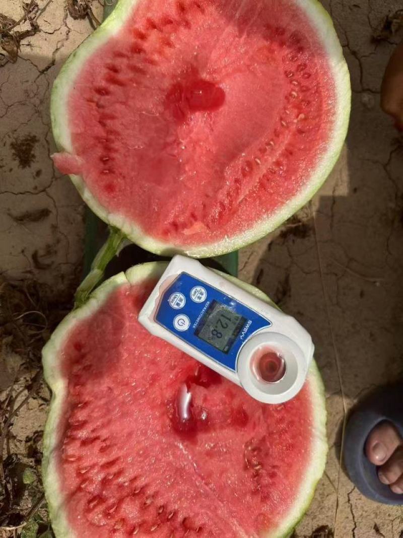 诚信经营，产地直发，一手货源，品质保证