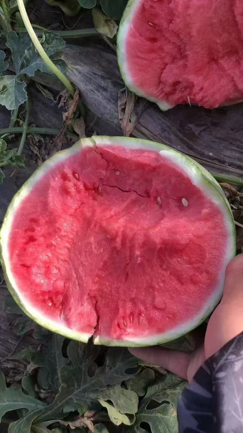 诚信经营，产地直发，一手货源，品质保证