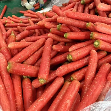 电商市场超市精品泥红萝卜，土货，水洗中条，精品箱子，小条…