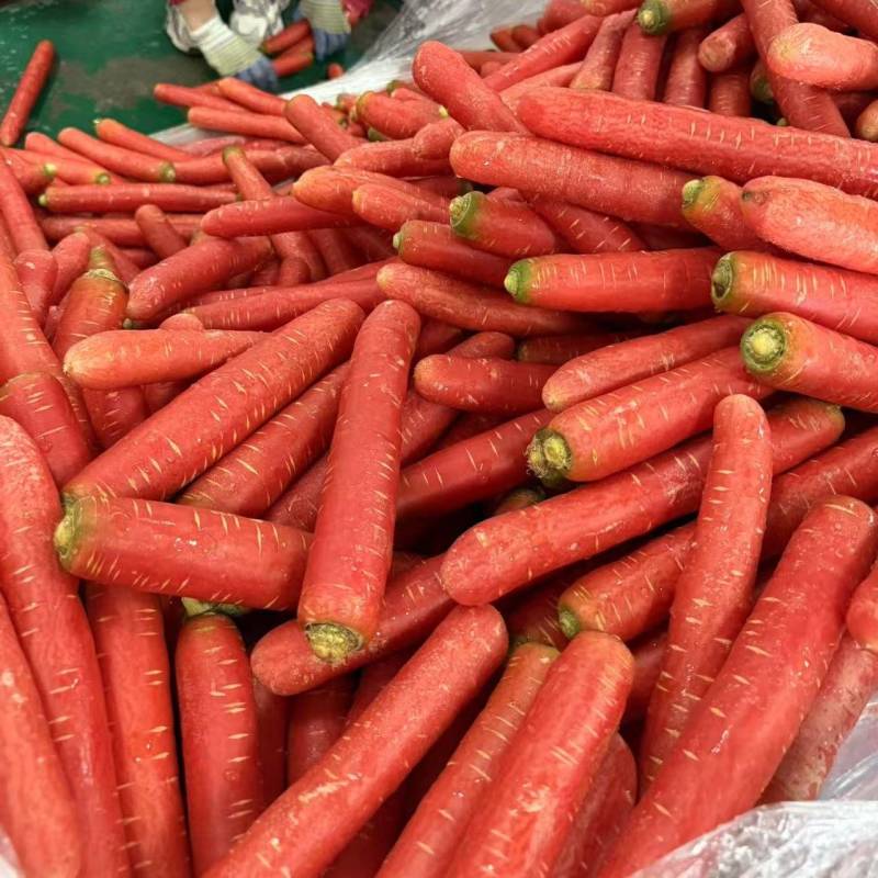 电商市场超市精品泥红萝卜，土货，水洗中条，精品箱子，小条…