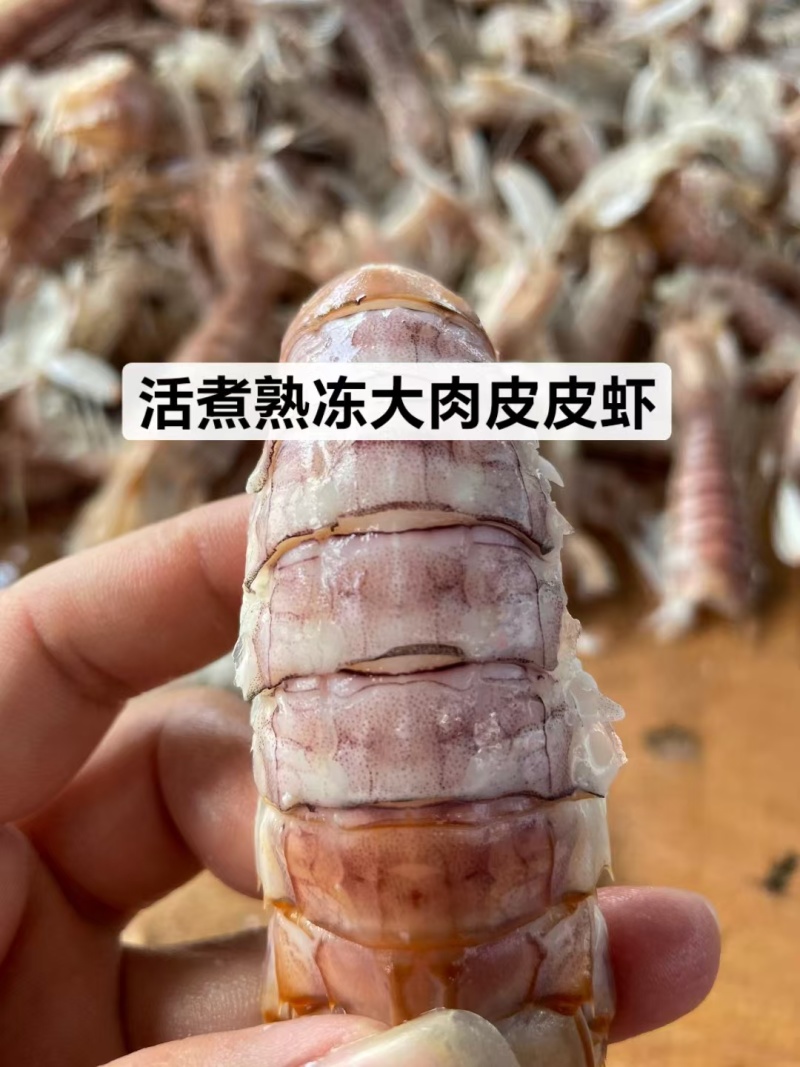 熟冻12-15皮皮虾18元/斤一手货源量大，从优