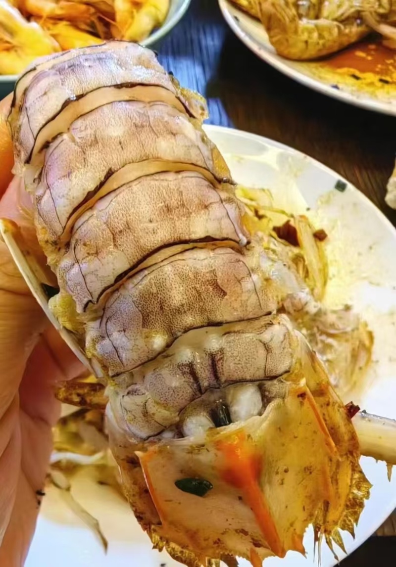 熟冻12-15皮皮虾18元/斤一手货源量大，从优