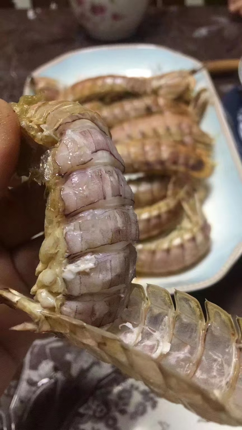 熟冻12-15皮皮虾18元/斤一手货源量大，从优