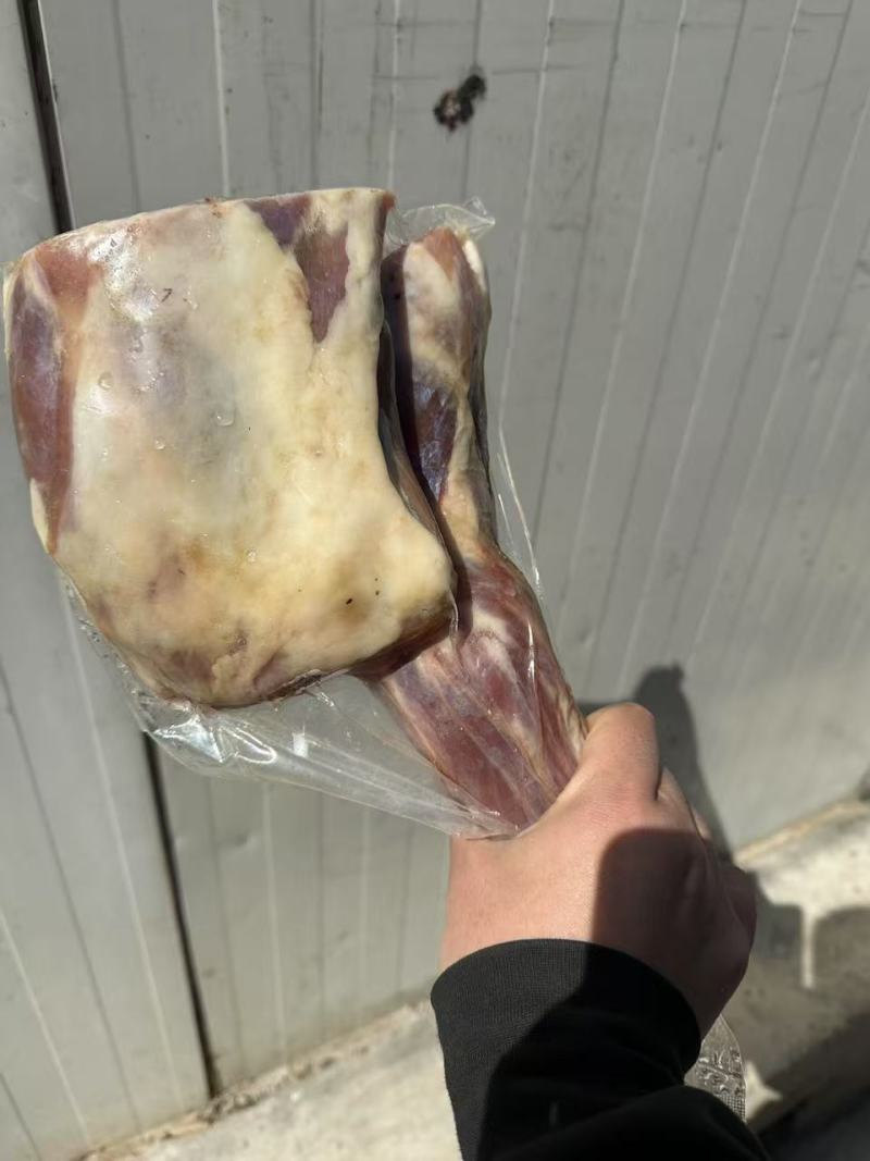 羊腿羊前腿电商产品工厂大量现货