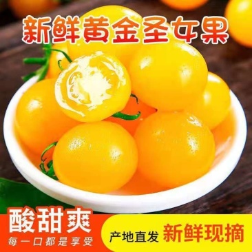 山东寿光夏日阳光圣女果长期供货健康美味量大从优精选