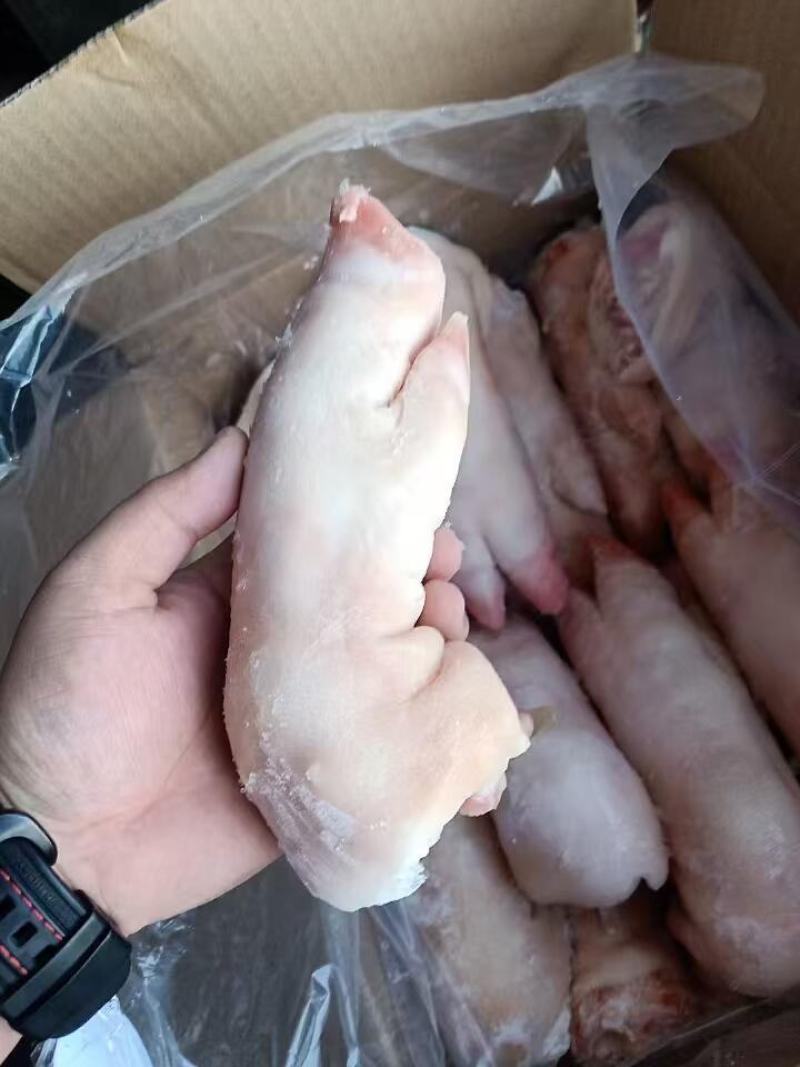 长期供应优品猪蹄一手货源批发