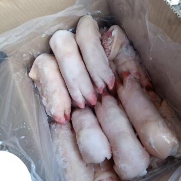 长期供应优品猪蹄一手货源批发