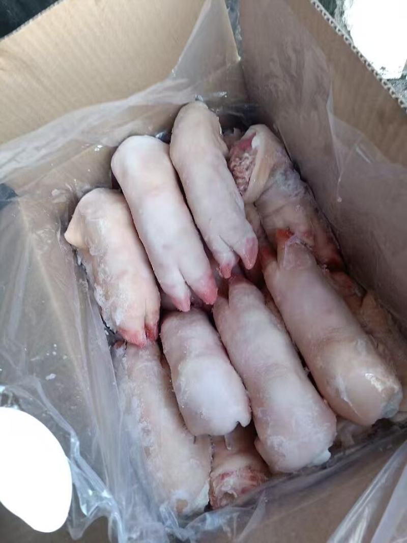 长期供应优品猪蹄一手货源批发