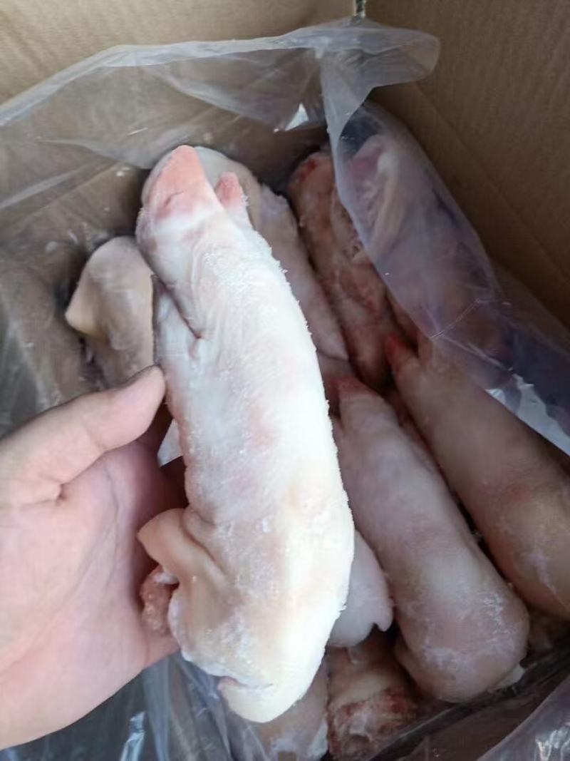长期供应优品猪蹄一手货源批发