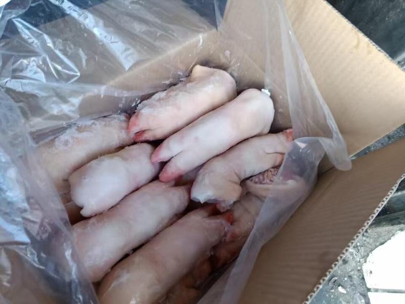 长期供应优品猪蹄一手货源批发