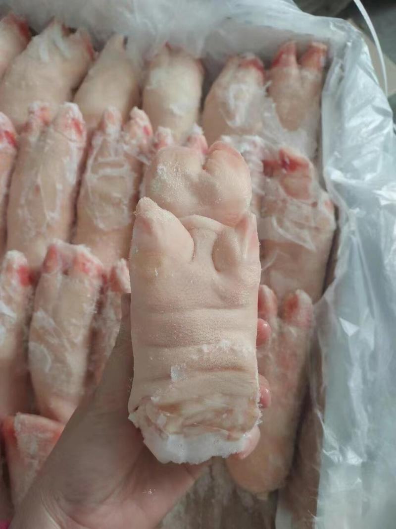 长期供应优品猪蹄一手货源批发