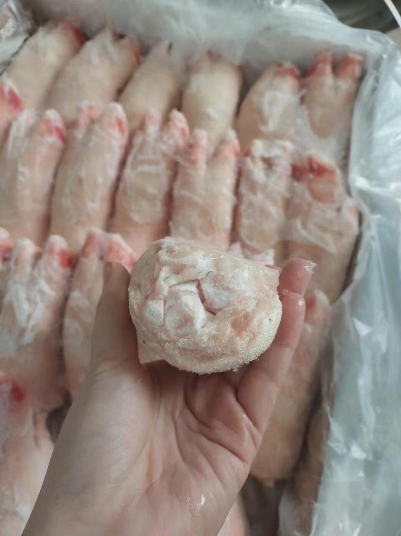 长期供应优品猪蹄一手货源批发