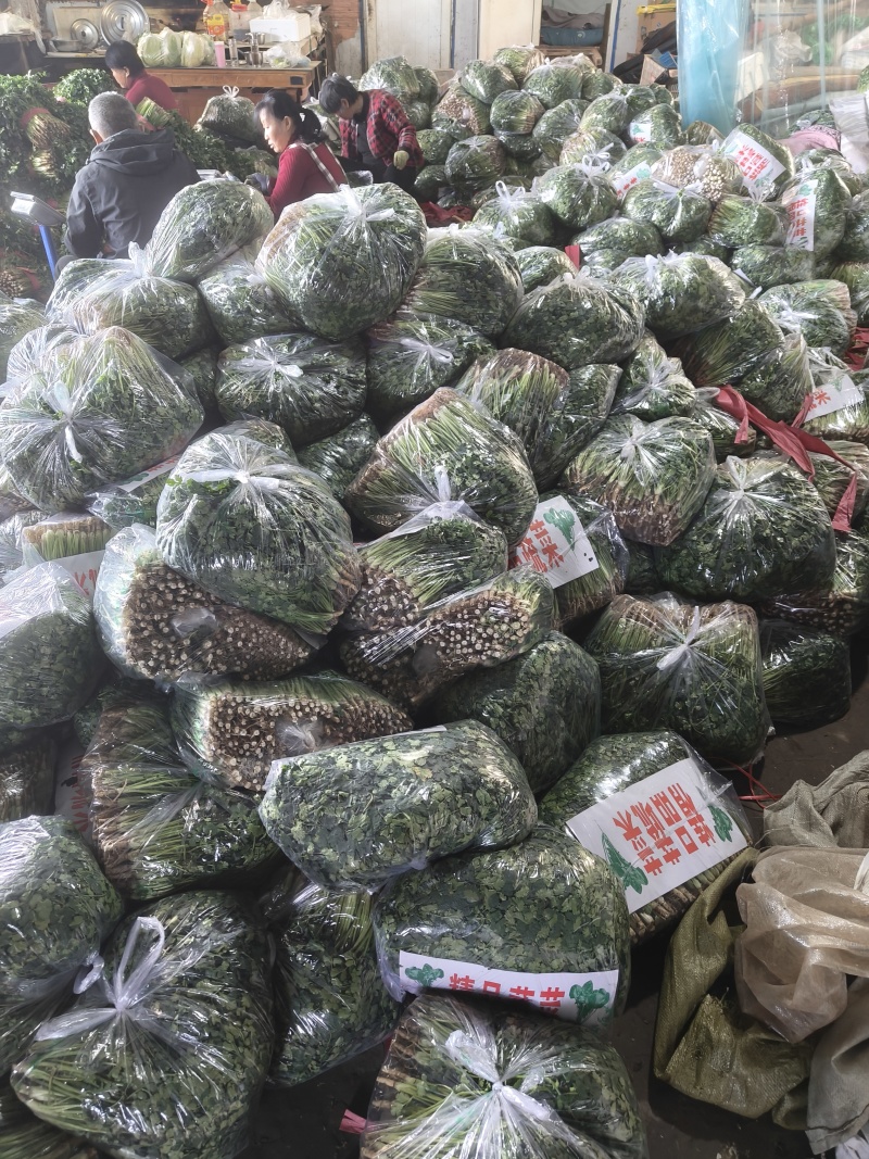 小香葱，聊城市东昌府区，大量上市，