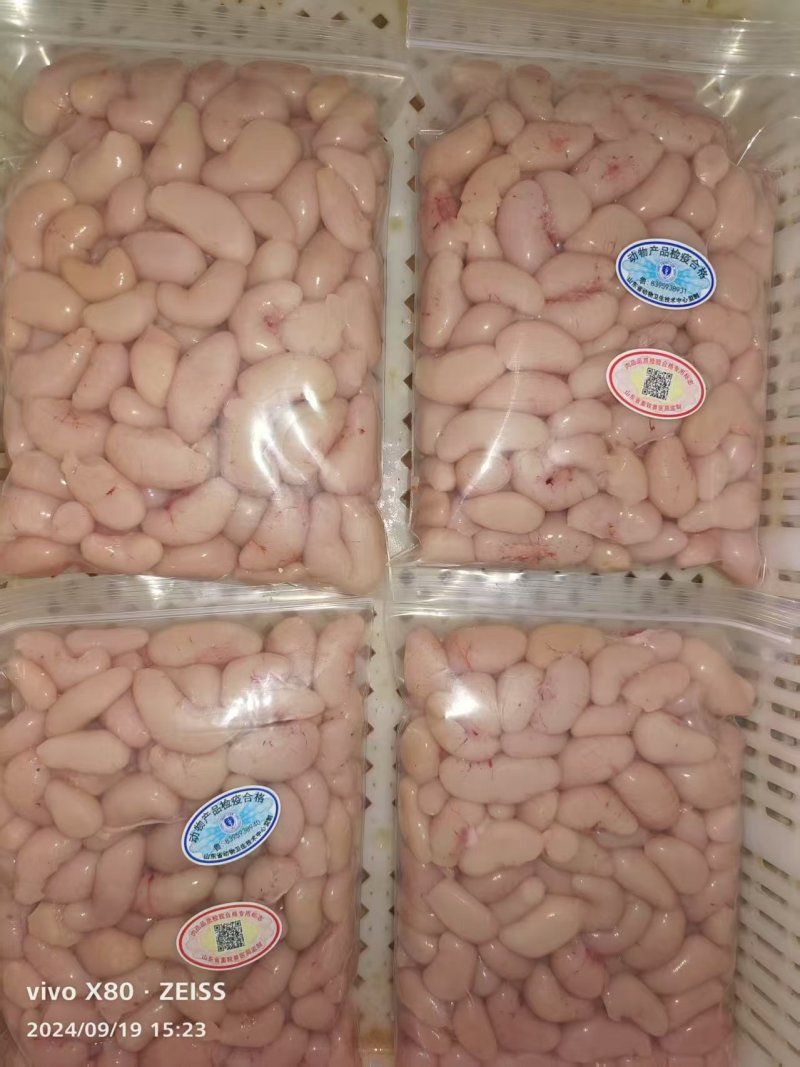 精品鸡腰子鲜品冷冻都有，各种规格，质量保证可视频看货