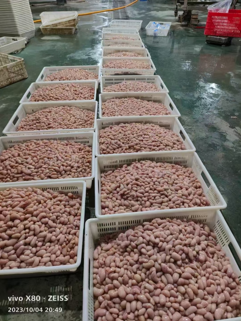 精品鸡腰子鲜品冷冻都有，各种规格，质量保证可视频看货