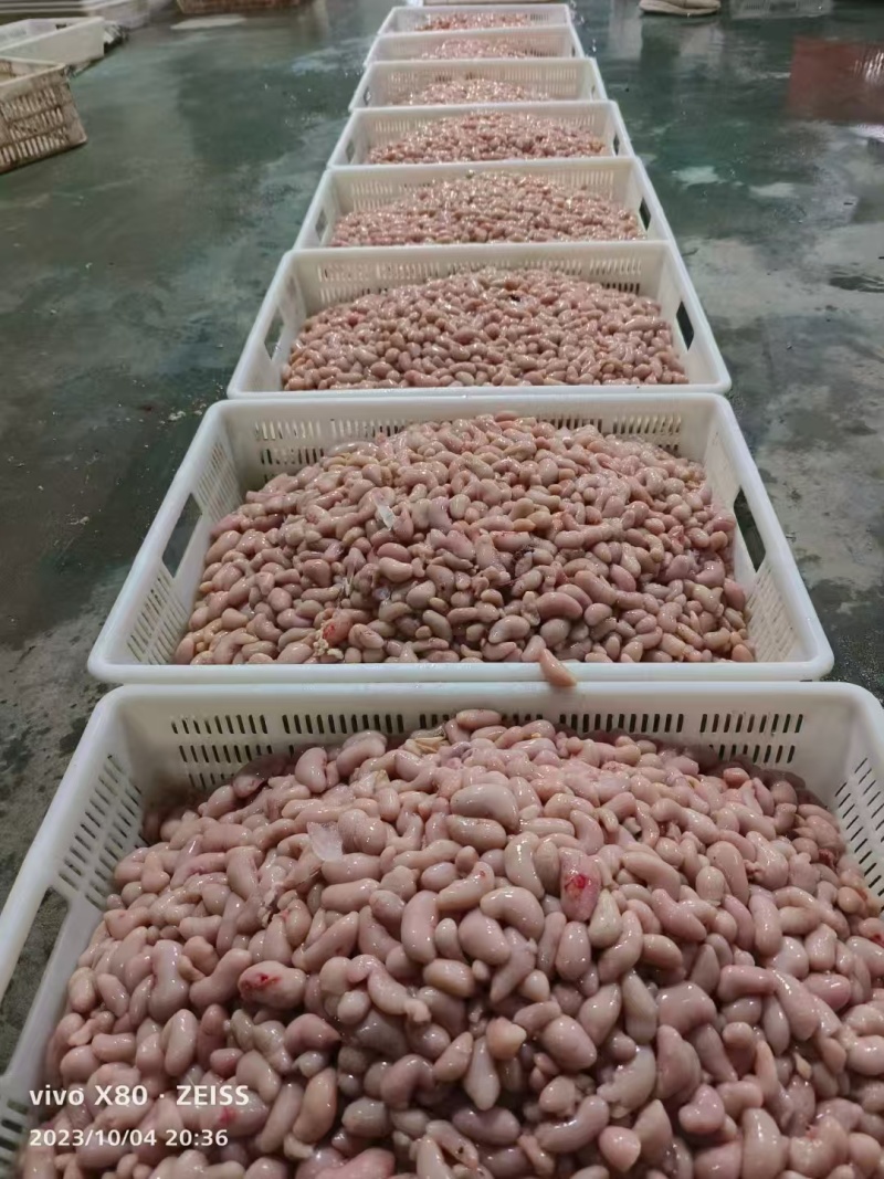 精品鸡腰子鲜品冷冻都有，各种规格，质量保证可视频看货