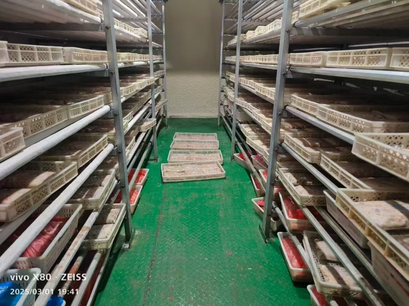 精品鸡腰子鲜品冷冻都有，各种规格，质量保证可视频看货
