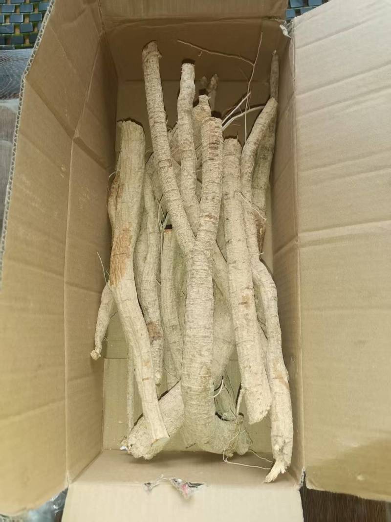 牛大力货源正规量大优惠多货源充足无忧