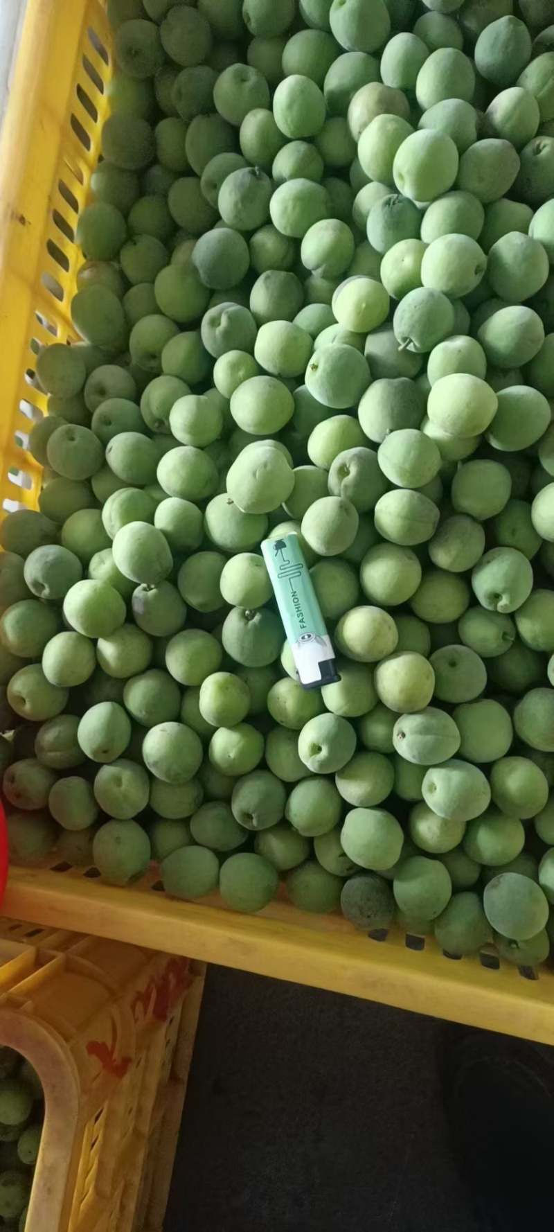 优质精品青梅