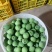 优质精品青梅