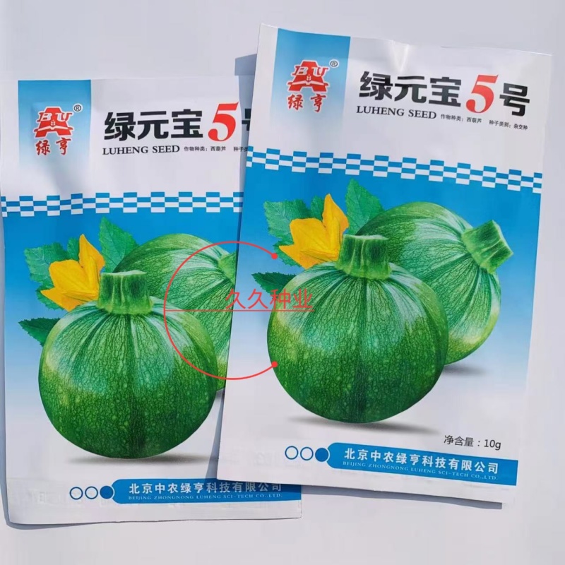 绿元宝5号圆西葫芦种子圆球菜南瓜籽绿亨春秋冬季早熟耐寒
