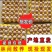 真正散养鸡蛋，多规格可选，价格128一件！！！