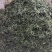 明前特级礼盒装500g大化坪茶王核心产区直销