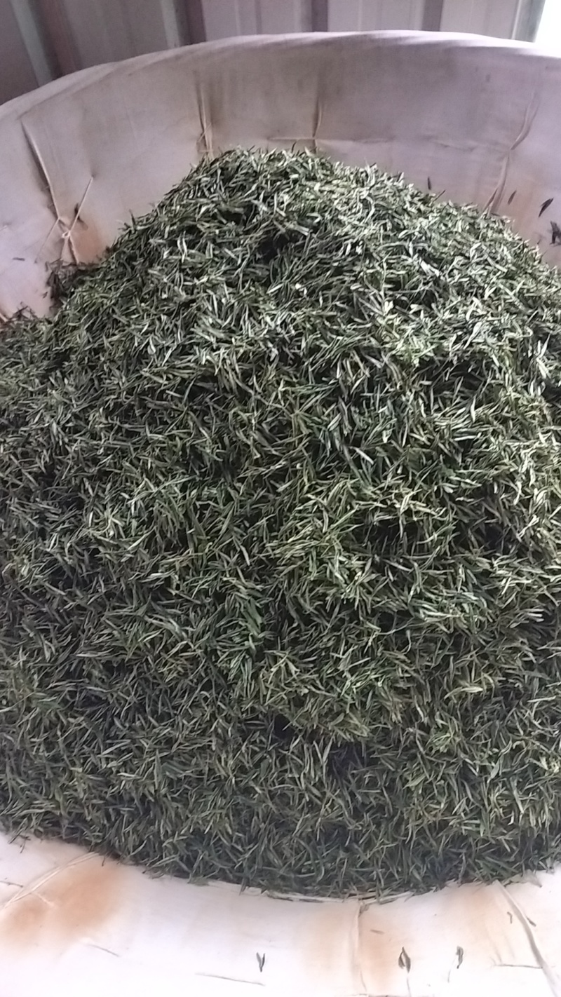 明前特级礼盒装500g大化坪茶王核心产区直销
