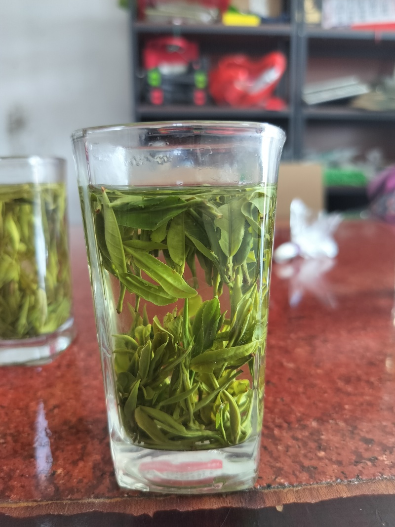 明前特级礼盒装500g大化坪茶王核心产区直销