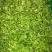 明前特级礼盒装500g大化坪茶王核心产区直销