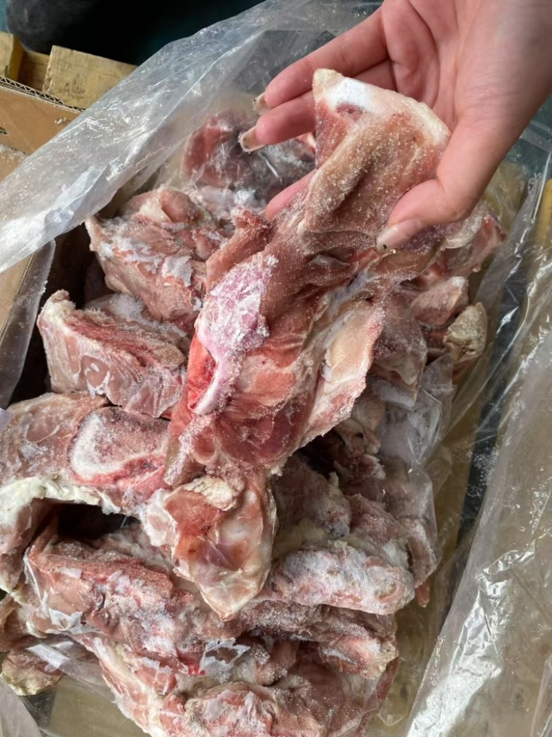 肥猪多肉叉骨5000+能用的来聊🤝