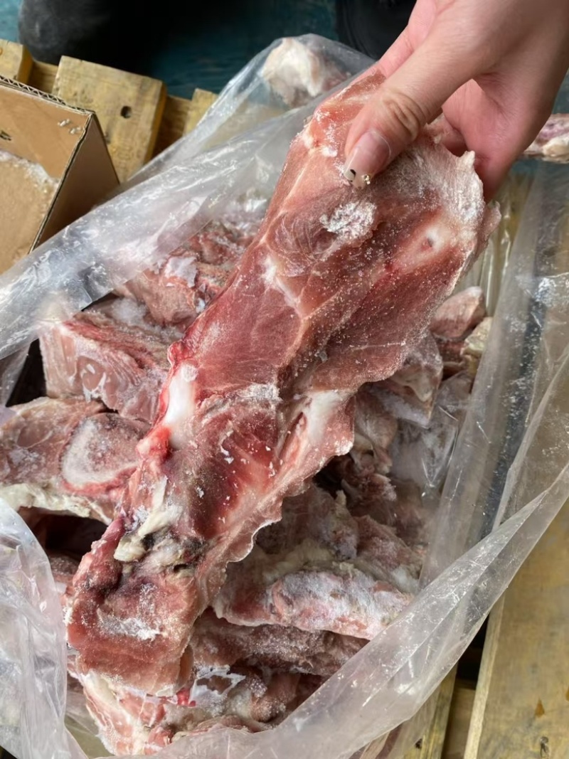 肥猪多肉叉骨5000+能用的来聊🤝