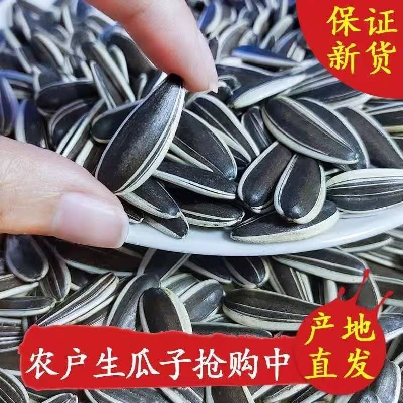 瓜子新货现做现发批发零售葵花籽内蒙古363