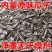 瓜子新货现做现发批发零售葵花籽内蒙古363