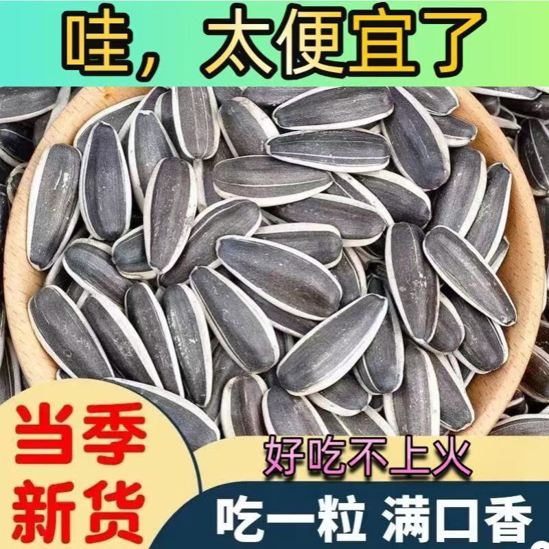 瓜子新货现做现发批发零售葵花籽内蒙古363