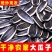 瓜子新货现做现发批发零售葵花籽内蒙古363