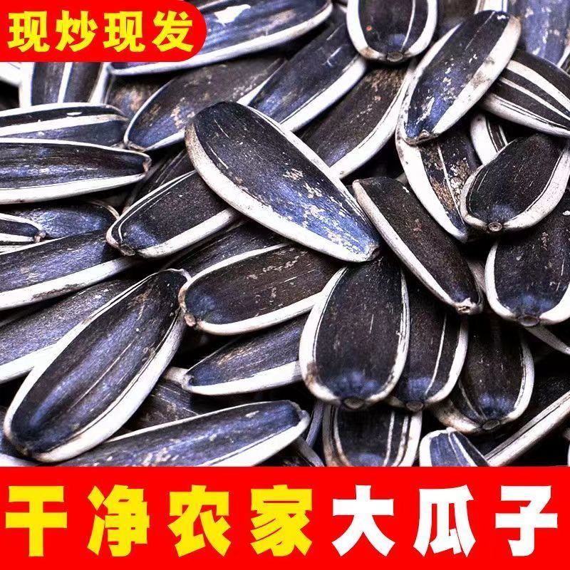 瓜子新货现做现发批发零售葵花籽内蒙古363