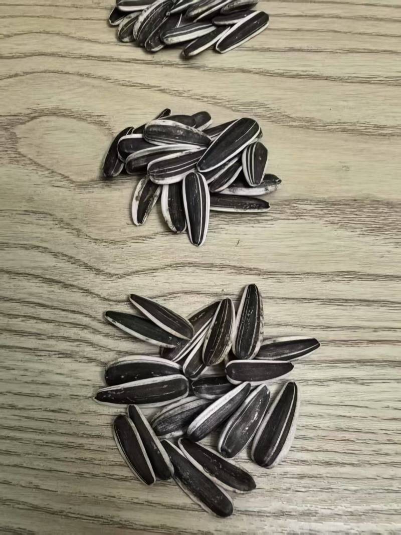 瓜子新货现做现发批发零售葵花籽内蒙古363
