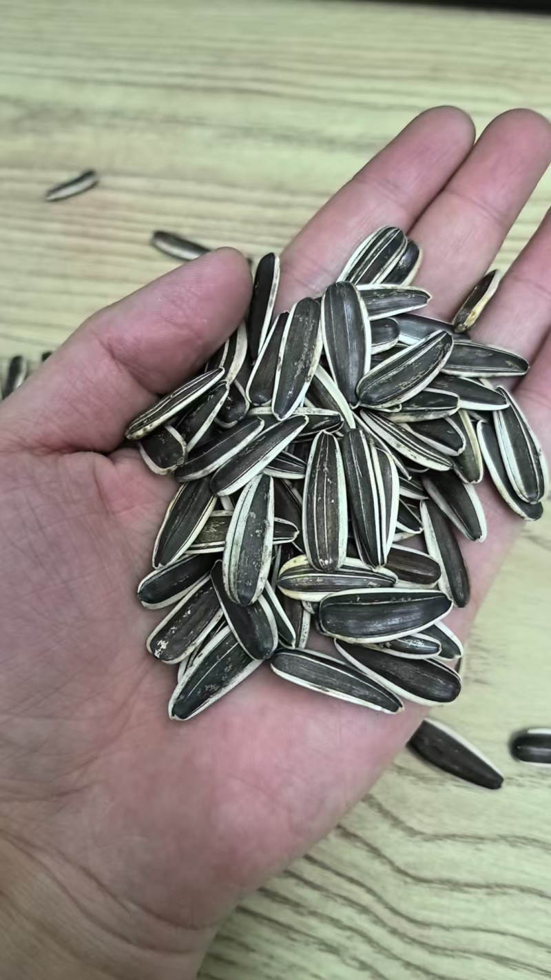 瓜子新货现做现发批发零售葵花籽内蒙古363