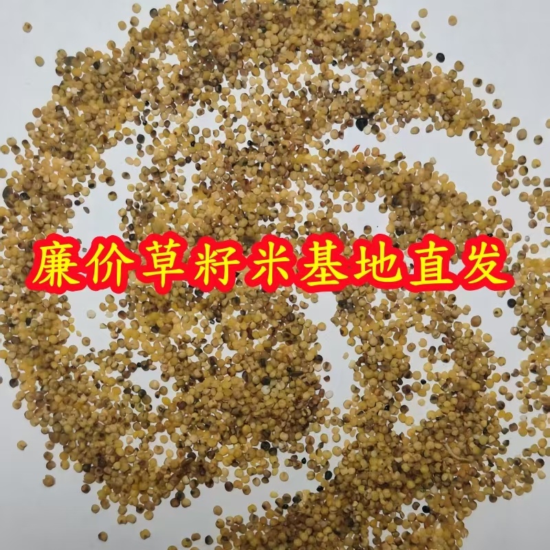 无壳碎小米喂鸡鸭鹅鸟粮干燥无尘新鲜现货
